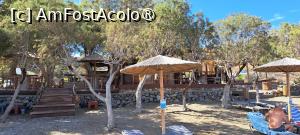 [P29] Taverna Al Mare, Agios Konstantinos, mese și plajă » foto by irinad
 - 
<span class="allrVoted glyphicon glyphicon-heart hidden" id="av1493505"></span>
<a class="m-l-10 hidden" id="sv1493505" onclick="voting_Foto_DelVot(,1493505,29075)" role="button">șterge vot <span class="glyphicon glyphicon-remove"></span></a>
<a id="v91493505" class=" c-red"  onclick="voting_Foto_SetVot(1493505)" role="button"><span class="glyphicon glyphicon-heart-empty"></span> <b>LIKE</b> = Votează poza</a> <img class="hidden"  id="f1493505W9" src="/imagini/loader.gif" border="0" /><span class="AjErrMes hidden" id="e1493505ErM"></span>