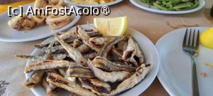 [P35] Taverna Al Mare, Agios Konstantinos, pești gavroși » foto by irinad
 - 
<span class="allrVoted glyphicon glyphicon-heart hidden" id="av1493511"></span>
<a class="m-l-10 hidden" id="sv1493511" onclick="voting_Foto_DelVot(,1493511,29075)" role="button">șterge vot <span class="glyphicon glyphicon-remove"></span></a>
<a id="v91493511" class=" c-red"  onclick="voting_Foto_SetVot(1493511)" role="button"><span class="glyphicon glyphicon-heart-empty"></span> <b>LIKE</b> = Votează poza</a> <img class="hidden"  id="f1493511W9" src="/imagini/loader.gif" border="0" /><span class="AjErrMes hidden" id="e1493511ErM"></span>
