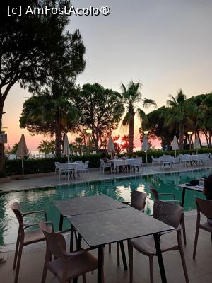 [P17] pe terasa piscinei » foto by nela b
 - 
<span class="allrVoted glyphicon glyphicon-heart hidden" id="av1493731"></span>
<a class="m-l-10 hidden" id="sv1493731" onclick="voting_Foto_DelVot(,1493731,29079)" role="button">șterge vot <span class="glyphicon glyphicon-remove"></span></a>
<a id="v91493731" class=" c-red"  onclick="voting_Foto_SetVot(1493731)" role="button"><span class="glyphicon glyphicon-heart-empty"></span> <b>LIKE</b> = Votează poza</a> <img class="hidden"  id="f1493731W9" src="/imagini/loader.gif" border="0" /><span class="AjErrMes hidden" id="e1493731ErM"></span>