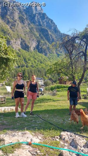 [P02] Pensiunea Guesthouse Gezim Selimaj, Valbona » foto by raducondurache
 - 
<span class="allrVoted glyphicon glyphicon-heart hidden" id="av1496019"></span>
<a class="m-l-10 hidden" id="sv1496019" onclick="voting_Foto_DelVot(,1496019,29098)" role="button">șterge vot <span class="glyphicon glyphicon-remove"></span></a>
<a id="v91496019" class=" c-red"  onclick="voting_Foto_SetVot(1496019)" role="button"><span class="glyphicon glyphicon-heart-empty"></span> <b>LIKE</b> = Votează poza</a> <img class="hidden"  id="f1496019W9" src="/imagini/loader.gif" border="0" /><span class="AjErrMes hidden" id="e1496019ErM"></span>