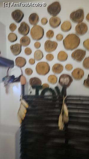 [P19] decorațiuni fel de fel » foto by robert
 - 
<span class="allrVoted glyphicon glyphicon-heart hidden" id="av1504999"></span>
<a class="m-l-10 hidden" id="sv1504999" onclick="voting_Foto_DelVot(,1504999,29124)" role="button">șterge vot <span class="glyphicon glyphicon-remove"></span></a>
<a id="v91504999" class=" c-red"  onclick="voting_Foto_SetVot(1504999)" role="button"><span class="glyphicon glyphicon-heart-empty"></span> <b>LIKE</b> = Votează poza</a> <img class="hidden"  id="f1504999W9" src="/imagini/loader.gif" border="0" /><span class="AjErrMes hidden" id="e1504999ErM"></span>