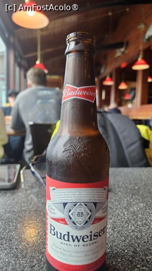 [P08] bere americană » foto by robert
 - 
<span class="allrVoted glyphicon glyphicon-heart hidden" id="av1512600"></span>
<a class="m-l-10 hidden" id="sv1512600" onclick="voting_Foto_DelVot(,1512600,29124)" role="button">șterge vot <span class="glyphicon glyphicon-remove"></span></a>
<a id="v91512600" class=" c-red"  onclick="voting_Foto_SetVot(1512600)" role="button"><span class="glyphicon glyphicon-heart-empty"></span> <b>LIKE</b> = Votează poza</a> <img class="hidden"  id="f1512600W9" src="/imagini/loader.gif" border="0" /><span class="AjErrMes hidden" id="e1512600ErM"></span>