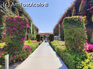 [P14] Aleea din zona Private Lodge » foto by crismis
 - 
<span class="allrVoted glyphicon glyphicon-heart hidden" id="av1499709"></span>
<a class="m-l-10 hidden" id="sv1499709" onclick="voting_Foto_DelVot(,1499709,29133)" role="button">șterge vot <span class="glyphicon glyphicon-remove"></span></a>
<a id="v91499709" class=" c-red"  onclick="voting_Foto_SetVot(1499709)" role="button"><span class="glyphicon glyphicon-heart-empty"></span> <b>LIKE</b> = Votează poza</a> <img class="hidden"  id="f1499709W9" src="/imagini/loader.gif" border="0" /><span class="AjErrMes hidden" id="e1499709ErM"></span>