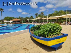 [P36] O barcă-grădină cu plante aromatice lângă piscina de la Private Lodge » foto by crismis
 - 
<span class="allrVoted glyphicon glyphicon-heart hidden" id="av1499731"></span>
<a class="m-l-10 hidden" id="sv1499731" onclick="voting_Foto_DelVot(,1499731,29133)" role="button">șterge vot <span class="glyphicon glyphicon-remove"></span></a>
<a id="v91499731" class=" c-red"  onclick="voting_Foto_SetVot(1499731)" role="button"><span class="glyphicon glyphicon-heart-empty"></span> <b>LIKE</b> = Votează poza</a> <img class="hidden"  id="f1499731W9" src="/imagini/loader.gif" border="0" /><span class="AjErrMes hidden" id="e1499731ErM"></span>