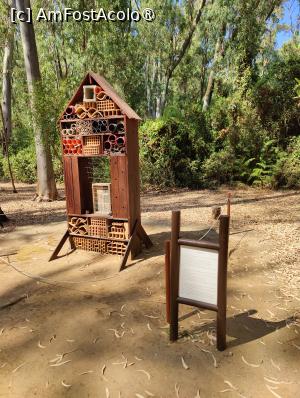 [P42] Hotel pentru insecte pe drumul spre plajă » foto by crismis
 - 
<span class="allrVoted glyphicon glyphicon-heart hidden" id="av1499737"></span>
<a class="m-l-10 hidden" id="sv1499737" onclick="voting_Foto_DelVot(,1499737,29133)" role="button">șterge vot <span class="glyphicon glyphicon-remove"></span></a>
<a id="v91499737" class=" c-red"  onclick="voting_Foto_SetVot(1499737)" role="button"><span class="glyphicon glyphicon-heart-empty"></span> <b>LIKE</b> = Votează poza</a> <img class="hidden"  id="f1499737W9" src="/imagini/loader.gif" border="0" /><span class="AjErrMes hidden" id="e1499737ErM"></span>