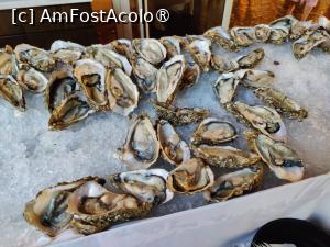 [P59] La restaurant » foto by crismis
 - 
<span class="allrVoted glyphicon glyphicon-heart hidden" id="av1499754"></span>
<a class="m-l-10 hidden" id="sv1499754" onclick="voting_Foto_DelVot(,1499754,29133)" role="button">șterge vot <span class="glyphicon glyphicon-remove"></span></a>
<a id="v91499754" class=" c-red"  onclick="voting_Foto_SetVot(1499754)" role="button"><span class="glyphicon glyphicon-heart-empty"></span> <b>LIKE</b> = Votează poza</a> <img class="hidden"  id="f1499754W9" src="/imagini/loader.gif" border="0" /><span class="AjErrMes hidden" id="e1499754ErM"></span>