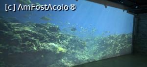 [P58]  -- <small>// FĂRĂ DESCRIERE</small> » foto by doinafil
 - 
<span class="allrVoted glyphicon glyphicon-heart hidden" id="av1524140"></span>
<a class="m-l-10 hidden" id="sv1524140" onclick="voting_Foto_DelVot(,1524140,29149)" role="button">șterge vot <span class="glyphicon glyphicon-remove"></span></a>
<a id="v91524140" class=" c-red"  onclick="voting_Foto_SetVot(1524140)" role="button"><span class="glyphicon glyphicon-heart-empty"></span> <b>LIKE</b> = Votează poza</a> <img class="hidden"  id="f1524140W9" src="/imagini/loader.gif" border="0" /><span class="AjErrMes hidden" id="e1524140ErM"></span>