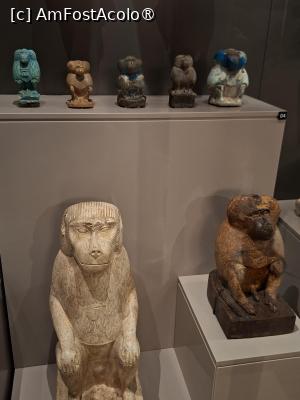 [P74] GEM, Galeria 10, Babuini asociați zeului Thoth al înțelepciunii, scrisului, Perioada Târzie, faianță, calcar, lemn, gresie.. » foto by mprofeanu
 - 
<span class="allrVoted glyphicon glyphicon-heart hidden" id="av1527018"></span>
<a class="m-l-10 hidden" id="sv1527018" onclick="voting_Foto_DelVot(,1527018,29165)" role="button">șterge vot <span class="glyphicon glyphicon-remove"></span></a>
<a id="v91527018" class=" c-red"  onclick="voting_Foto_SetVot(1527018)" role="button"><span class="glyphicon glyphicon-heart-empty"></span> <b>LIKE</b> = Votează poza</a> <img class="hidden"  id="f1527018W9" src="/imagini/loader.gif" border="0" /><span class="AjErrMes hidden" id="e1527018ErM"></span>