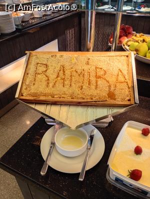 [P25] Miere la desert. » foto by ovidiuyepi
 - 
<span class="allrVoted glyphicon glyphicon-heart hidden" id="av1504895"></span>
<a class="m-l-10 hidden" id="sv1504895" onclick="voting_Foto_DelVot(,1504895,29168)" role="button">șterge vot <span class="glyphicon glyphicon-remove"></span></a>
<a id="v91504895" class=" c-red"  onclick="voting_Foto_SetVot(1504895)" role="button"><span class="glyphicon glyphicon-heart-empty"></span> <b>LIKE</b> = Votează poza</a> <img class="hidden"  id="f1504895W9" src="/imagini/loader.gif" border="0" /><span class="AjErrMes hidden" id="e1504895ErM"></span>