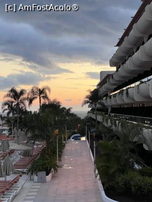 [P12]  -- <small>// FĂRĂ DESCRIERE</small> » foto by Florris
 - 
<span class="allrVoted glyphicon glyphicon-heart hidden" id="av1504930"></span>
<a class="m-l-10 hidden" id="sv1504930" onclick="voting_Foto_DelVot(,1504930,29169)" role="button">șterge vot <span class="glyphicon glyphicon-remove"></span></a>
<a id="v91504930" class=" c-red"  onclick="voting_Foto_SetVot(1504930)" role="button"><span class="glyphicon glyphicon-heart-empty"></span> <b>LIKE</b> = Votează poza</a> <img class="hidden"  id="f1504930W9" src="/imagini/loader.gif" border="0" /><span class="AjErrMes hidden" id="e1504930ErM"></span>