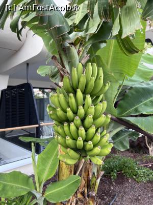 [P15]  -- <small>// FĂRĂ DESCRIERE</small> » foto by Florris
 - 
<span class="allrVoted glyphicon glyphicon-heart hidden" id="av1504933"></span>
<a class="m-l-10 hidden" id="sv1504933" onclick="voting_Foto_DelVot(,1504933,29169)" role="button">șterge vot <span class="glyphicon glyphicon-remove"></span></a>
<a id="v91504933" class=" c-red"  onclick="voting_Foto_SetVot(1504933)" role="button"><span class="glyphicon glyphicon-heart-empty"></span> <b>LIKE</b> = Votează poza</a> <img class="hidden"  id="f1504933W9" src="/imagini/loader.gif" border="0" /><span class="AjErrMes hidden" id="e1504933ErM"></span>