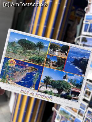 [P20]  -- <small>// FĂRĂ DESCRIERE</small> » foto by Florris
 - 
<span class="allrVoted glyphicon glyphicon-heart hidden" id="av1504938"></span>
<a class="m-l-10 hidden" id="sv1504938" onclick="voting_Foto_DelVot(,1504938,29169)" role="button">șterge vot <span class="glyphicon glyphicon-remove"></span></a>
<a id="v91504938" class=" c-red"  onclick="voting_Foto_SetVot(1504938)" role="button"><span class="glyphicon glyphicon-heart-empty"></span> <b>LIKE</b> = Votează poza</a> <img class="hidden"  id="f1504938W9" src="/imagini/loader.gif" border="0" /><span class="AjErrMes hidden" id="e1504938ErM"></span>