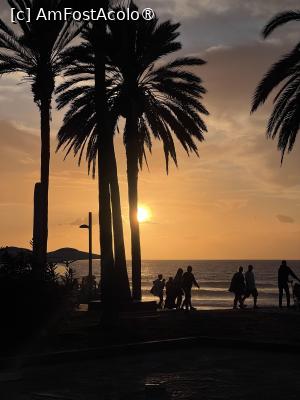 [P21] Playa de las americas » foto by Florris
 - 
<span class="allrVoted glyphicon glyphicon-heart hidden" id="av1504939"></span>
<a class="m-l-10 hidden" id="sv1504939" onclick="voting_Foto_DelVot(,1504939,29169)" role="button">șterge vot <span class="glyphicon glyphicon-remove"></span></a>
<a id="v91504939" class=" c-red"  onclick="voting_Foto_SetVot(1504939)" role="button"><span class="glyphicon glyphicon-heart-empty"></span> <b>LIKE</b> = Votează poza</a> <img class="hidden"  id="f1504939W9" src="/imagini/loader.gif" border="0" /><span class="AjErrMes hidden" id="e1504939ErM"></span>