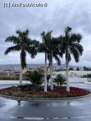 [P22]  -- <small>// FĂRĂ DESCRIERE</small> » foto by Florris
 - 
<span class="allrVoted glyphicon glyphicon-heart hidden" id="av1504940"></span>
<a class="m-l-10 hidden" id="sv1504940" onclick="voting_Foto_DelVot(,1504940,29169)" role="button">șterge vot <span class="glyphicon glyphicon-remove"></span></a>
<a id="v91504940" class=" c-red"  onclick="voting_Foto_SetVot(1504940)" role="button"><span class="glyphicon glyphicon-heart-empty"></span> <b>LIKE</b> = Votează poza</a> <img class="hidden"  id="f1504940W9" src="/imagini/loader.gif" border="0" /><span class="AjErrMes hidden" id="e1504940ErM"></span>