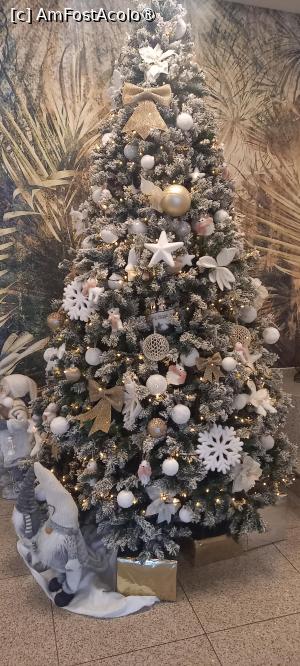 [P02] se pregăteau de sărbători » foto by zlatna
 - 
<span class="allrVoted glyphicon glyphicon-heart hidden" id="av1506307"></span>
<a class="m-l-10 hidden" id="sv1506307" onclick="voting_Foto_DelVot(,1506307,29176)" role="button">șterge vot <span class="glyphicon glyphicon-remove"></span></a>
<a id="v91506307" class=" c-red"  onclick="voting_Foto_SetVot(1506307)" role="button"><span class="glyphicon glyphicon-heart-empty"></span> <b>LIKE</b> = Votează poza</a> <img class="hidden"  id="f1506307W9" src="/imagini/loader.gif" border="0" /><span class="AjErrMes hidden" id="e1506307ErM"></span>