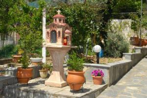 [P33] Vila Anestis - grădina din spatele curții » foto by Carmen Ion <span class="label label-default labelC_thin small">NEVOTABILĂ</span>