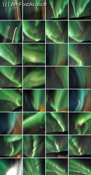 [P01] Fotografie menită să stârnească interesul cititorului, care va înțelege despre ce e vorba abia la final (dacă are răbdare să citească & să privească pozele)  » foto by adso
 - 
<span class="allrVoted glyphicon glyphicon-heart hidden" id="av1507798"></span>
<a class="m-l-10 hidden" id="sv1507798" onclick="voting_Foto_DelVot(,1507798,29183)" role="button">șterge vot <span class="glyphicon glyphicon-remove"></span></a>
<a id="v91507798" class=" c-red"  onclick="voting_Foto_SetVot(1507798)" role="button"><span class="glyphicon glyphicon-heart-empty"></span> <b>LIKE</b> = Votează poza</a> <img class="hidden"  id="f1507798W9" src="/imagini/loader.gif" border="0" /><span class="AjErrMes hidden" id="e1507798ErM"></span>