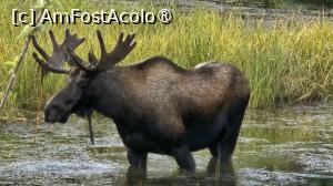 [P11] peisaj din Alaska » foto by robert
 - 
<span class="allrVoted glyphicon glyphicon-heart hidden" id="av1509227"></span>
<a class="m-l-10 hidden" id="sv1509227" onclick="voting_Foto_DelVot(,1509227,29187)" role="button">șterge vot <span class="glyphicon glyphicon-remove"></span></a>
<a id="v91509227" class=" c-red"  onclick="voting_Foto_SetVot(1509227)" role="button"><span class="glyphicon glyphicon-heart-empty"></span> <b>LIKE</b> = Votează poza</a> <img class="hidden"  id="f1509227W9" src="/imagini/loader.gif" border="0" /><span class="AjErrMes hidden" id="e1509227ErM"></span>