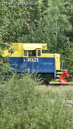 [P14] am ajuns la complex » foto by robert
 - 
<span class="allrVoted glyphicon glyphicon-heart hidden" id="av1509230"></span>
<a class="m-l-10 hidden" id="sv1509230" onclick="voting_Foto_DelVot(,1509230,29187)" role="button">șterge vot <span class="glyphicon glyphicon-remove"></span></a>
<a id="v91509230" class=" c-red"  onclick="voting_Foto_SetVot(1509230)" role="button"><span class="glyphicon glyphicon-heart-empty"></span> <b>LIKE</b> = Votează poza</a> <img class="hidden"  id="f1509230W9" src="/imagini/loader.gif" border="0" /><span class="AjErrMes hidden" id="e1509230ErM"></span>