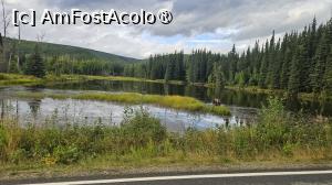 [P04] peisaj din Alaska » foto by robert
 - 
<span class="allrVoted glyphicon glyphicon-heart hidden" id="av1509220"></span>
<a class="m-l-10 hidden" id="sv1509220" onclick="voting_Foto_DelVot(,1509220,29187)" role="button">șterge vot <span class="glyphicon glyphicon-remove"></span></a>
<a id="v91509220" class=" c-red"  onclick="voting_Foto_SetVot(1509220)" role="button"><span class="glyphicon glyphicon-heart-empty"></span> <b>LIKE</b> = Votează poza</a> <img class="hidden"  id="f1509220W9" src="/imagini/loader.gif" border="0" /><span class="AjErrMes hidden" id="e1509220ErM"></span>