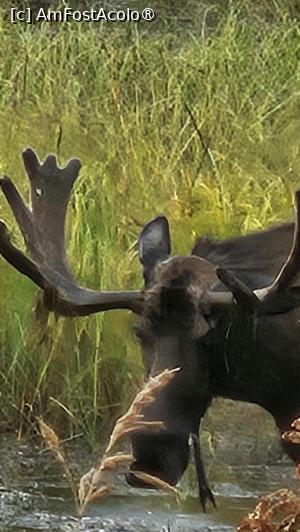 [P08] peisaj din Alaska » foto by robert
 - 
<span class="allrVoted glyphicon glyphicon-heart hidden" id="av1509224"></span>
<a class="m-l-10 hidden" id="sv1509224" onclick="voting_Foto_DelVot(,1509224,29187)" role="button">șterge vot <span class="glyphicon glyphicon-remove"></span></a>
<a id="v91509224" class=" c-red"  onclick="voting_Foto_SetVot(1509224)" role="button"><span class="glyphicon glyphicon-heart-empty"></span> <b>LIKE</b> = Votează poza</a> <img class="hidden"  id="f1509224W9" src="/imagini/loader.gif" border="0" /><span class="AjErrMes hidden" id="e1509224ErM"></span>