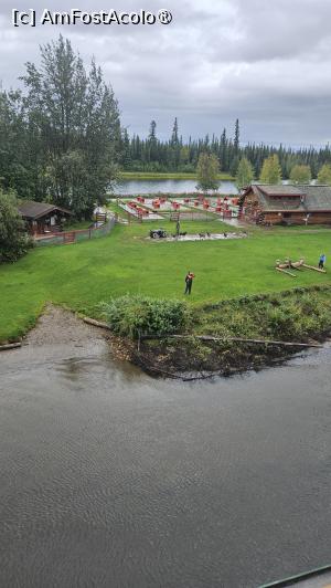 [P17] Susan de la canisă » foto by robert
 - 
<span class="allrVoted glyphicon glyphicon-heart hidden" id="av1510078"></span>
<a class="m-l-10 hidden" id="sv1510078" onclick="voting_Foto_DelVot(,1510078,29187)" role="button">șterge vot <span class="glyphicon glyphicon-remove"></span></a>
<a id="v91510078" class=" c-red"  onclick="voting_Foto_SetVot(1510078)" role="button"><span class="glyphicon glyphicon-heart-empty"></span> <b>LIKE</b> = Votează poza</a> <img class="hidden"  id="f1510078W9" src="/imagini/loader.gif" border="0" /><span class="AjErrMes hidden" id="e1510078ErM"></span>