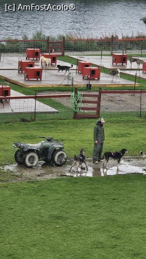 [P18] canisa de husky » foto by robert
 - 
<span class="allrVoted glyphicon glyphicon-heart hidden" id="av1510079"></span>
<a class="m-l-10 hidden" id="sv1510079" onclick="voting_Foto_DelVot(,1510079,29187)" role="button">șterge vot <span class="glyphicon glyphicon-remove"></span></a>
<a id="v91510079" class=" c-red"  onclick="voting_Foto_SetVot(1510079)" role="button"><span class="glyphicon glyphicon-heart-empty"></span> <b>LIKE</b> = Votează poza</a> <img class="hidden"  id="f1510079W9" src="/imagini/loader.gif" border="0" /><span class="AjErrMes hidden" id="e1510079ErM"></span>