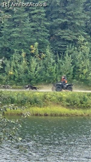 [P24] husky in acțiune » foto by robert
 - 
<span class="allrVoted glyphicon glyphicon-heart hidden" id="av1510085"></span>
<a class="m-l-10 hidden" id="sv1510085" onclick="voting_Foto_DelVot(,1510085,29187)" role="button">șterge vot <span class="glyphicon glyphicon-remove"></span></a>
<a id="v91510085" class=" c-red"  onclick="voting_Foto_SetVot(1510085)" role="button"><span class="glyphicon glyphicon-heart-empty"></span> <b>LIKE</b> = Votează poza</a> <img class="hidden"  id="f1510085W9" src="/imagini/loader.gif" border="0" /><span class="AjErrMes hidden" id="e1510085ErM"></span>