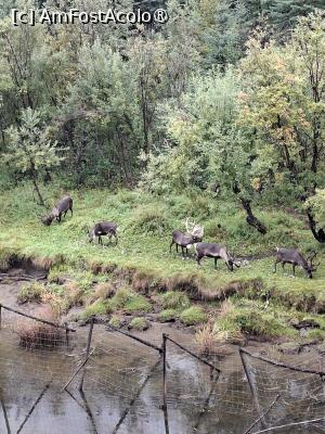 [P26] renii despre care povesteam » foto by robert
 - 
<span class="allrVoted glyphicon glyphicon-heart hidden" id="av1510087"></span>
<a class="m-l-10 hidden" id="sv1510087" onclick="voting_Foto_DelVot(,1510087,29187)" role="button">șterge vot <span class="glyphicon glyphicon-remove"></span></a>
<a id="v91510087" class=" c-red"  onclick="voting_Foto_SetVot(1510087)" role="button"><span class="glyphicon glyphicon-heart-empty"></span> <b>LIKE</b> = Votează poza</a> <img class="hidden"  id="f1510087W9" src="/imagini/loader.gif" border="0" /><span class="AjErrMes hidden" id="e1510087ErM"></span>