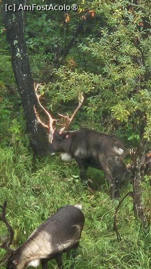 [P27] renii despre care povesteam » foto by robert
 - 
<span class="allrVoted glyphicon glyphicon-heart hidden" id="av1510088"></span>
<a class="m-l-10 hidden" id="sv1510088" onclick="voting_Foto_DelVot(,1510088,29187)" role="button">șterge vot <span class="glyphicon glyphicon-remove"></span></a>
<a id="v91510088" class=" c-red"  onclick="voting_Foto_SetVot(1510088)" role="button"><span class="glyphicon glyphicon-heart-empty"></span> <b>LIKE</b> = Votează poza</a> <img class="hidden"  id="f1510088W9" src="/imagini/loader.gif" border="0" /><span class="AjErrMes hidden" id="e1510088ErM"></span>