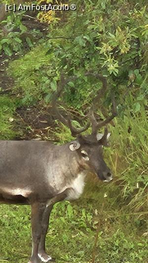 [P29] renii despre care povesteam » foto by robert
 - 
<span class="allrVoted glyphicon glyphicon-heart hidden" id="av1510090"></span>
<a class="m-l-10 hidden" id="sv1510090" onclick="voting_Foto_DelVot(,1510090,29187)" role="button">șterge vot <span class="glyphicon glyphicon-remove"></span></a>
<a id="v91510090" class=" c-red"  onclick="voting_Foto_SetVot(1510090)" role="button"><span class="glyphicon glyphicon-heart-empty"></span> <b>LIKE</b> = Votează poza</a> <img class="hidden"  id="f1510090W9" src="/imagini/loader.gif" border="0" /><span class="AjErrMes hidden" id="e1510090ErM"></span>