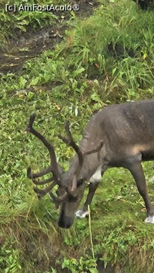 [P30] renii despre care povesteam » foto by robert
 - 
<span class="allrVoted glyphicon glyphicon-heart hidden" id="av1510091"></span>
<a class="m-l-10 hidden" id="sv1510091" onclick="voting_Foto_DelVot(,1510091,29187)" role="button">șterge vot <span class="glyphicon glyphicon-remove"></span></a>
<a id="v91510091" class=" c-red"  onclick="voting_Foto_SetVot(1510091)" role="button"><span class="glyphicon glyphicon-heart-empty"></span> <b>LIKE</b> = Votează poza</a> <img class="hidden"  id="f1510091W9" src="/imagini/loader.gif" border="0" /><span class="AjErrMes hidden" id="e1510091ErM"></span>