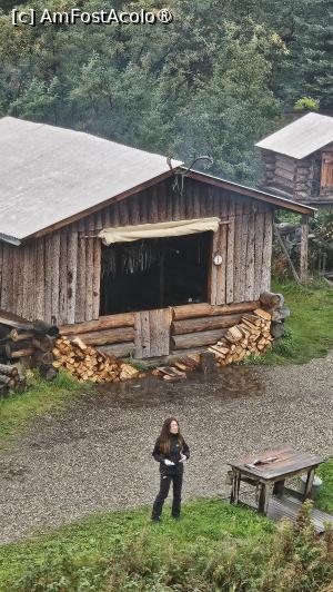 [P35] nativă din zonă » foto by robert
 - 
<span class="allrVoted glyphicon glyphicon-heart hidden" id="av1510096"></span>
<a class="m-l-10 hidden" id="sv1510096" onclick="voting_Foto_DelVot(,1510096,29187)" role="button">șterge vot <span class="glyphicon glyphicon-remove"></span></a>
<a id="v91510096" class=" c-red"  onclick="voting_Foto_SetVot(1510096)" role="button"><span class="glyphicon glyphicon-heart-empty"></span> <b>LIKE</b> = Votează poza</a> <img class="hidden"  id="f1510096W9" src="/imagini/loader.gif" border="0" /><span class="AjErrMes hidden" id="e1510096ErM"></span>