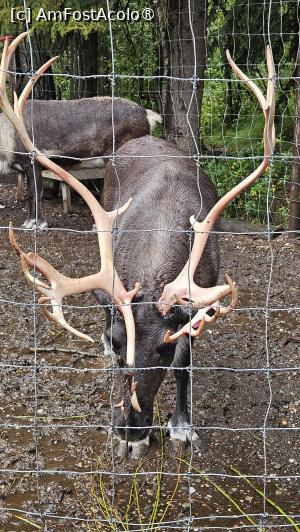 [P38] prin satul tradițional » foto by robert
 - 
<span class="allrVoted glyphicon glyphicon-heart hidden" id="av1510099"></span>
<a class="m-l-10 hidden" id="sv1510099" onclick="voting_Foto_DelVot(,1510099,29187)" role="button">șterge vot <span class="glyphicon glyphicon-remove"></span></a>
<a id="v91510099" class=" c-red"  onclick="voting_Foto_SetVot(1510099)" role="button"><span class="glyphicon glyphicon-heart-empty"></span> <b>LIKE</b> = Votează poza</a> <img class="hidden"  id="f1510099W9" src="/imagini/loader.gif" border="0" /><span class="AjErrMes hidden" id="e1510099ErM"></span>