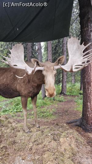 [P40] prin satul tradițional » foto by robert
 - 
<span class="allrVoted glyphicon glyphicon-heart hidden" id="av1510101"></span>
<a class="m-l-10 hidden" id="sv1510101" onclick="voting_Foto_DelVot(,1510101,29187)" role="button">șterge vot <span class="glyphicon glyphicon-remove"></span></a>
<a id="v91510101" class=" c-red"  onclick="voting_Foto_SetVot(1510101)" role="button"><span class="glyphicon glyphicon-heart-empty"></span> <b>LIKE</b> = Votează poza</a> <img class="hidden"  id="f1510101W9" src="/imagini/loader.gif" border="0" /><span class="AjErrMes hidden" id="e1510101ErM"></span>