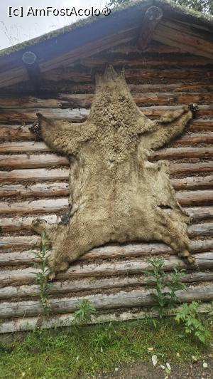 [P47] prin satul tradițional » foto by robert
 - 
<span class="allrVoted glyphicon glyphicon-heart hidden" id="av1510108"></span>
<a class="m-l-10 hidden" id="sv1510108" onclick="voting_Foto_DelVot(,1510108,29187)" role="button">șterge vot <span class="glyphicon glyphicon-remove"></span></a>
<a id="v91510108" class=" c-red"  onclick="voting_Foto_SetVot(1510108)" role="button"><span class="glyphicon glyphicon-heart-empty"></span> <b>LIKE</b> = Votează poza</a> <img class="hidden"  id="f1510108W9" src="/imagini/loader.gif" border="0" /><span class="AjErrMes hidden" id="e1510108ErM"></span>