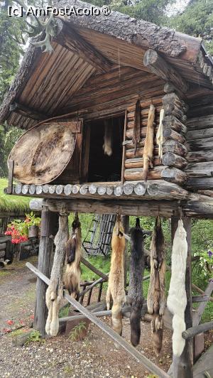 [P53] prin satul tradițional » foto by robert
 - 
<span class="allrVoted glyphicon glyphicon-heart hidden" id="av1510120"></span>
<a class="m-l-10 hidden" id="sv1510120" onclick="voting_Foto_DelVot(,1510120,29187)" role="button">șterge vot <span class="glyphicon glyphicon-remove"></span></a>
<a id="v91510120" class=" c-red"  onclick="voting_Foto_SetVot(1510120)" role="button"><span class="glyphicon glyphicon-heart-empty"></span> <b>LIKE</b> = Votează poza</a> <img class="hidden"  id="f1510120W9" src="/imagini/loader.gif" border="0" /><span class="AjErrMes hidden" id="e1510120ErM"></span>