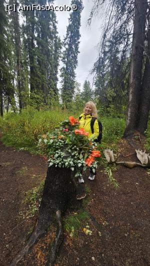 [P55] prin satul tradițional » foto by robert
 - 
<span class="allrVoted glyphicon glyphicon-heart hidden" id="av1510122"></span>
<a class="m-l-10 hidden" id="sv1510122" onclick="voting_Foto_DelVot(,1510122,29187)" role="button">șterge vot <span class="glyphicon glyphicon-remove"></span></a>
<a id="v91510122" class=" c-red"  onclick="voting_Foto_SetVot(1510122)" role="button"><span class="glyphicon glyphicon-heart-empty"></span> <b>LIKE</b> = Votează poza</a> <img class="hidden"  id="f1510122W9" src="/imagini/loader.gif" border="0" /><span class="AjErrMes hidden" id="e1510122ErM"></span>