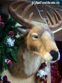 [P16] Targul de Craciun din Parcul Cismigiu, un ren decorativ! » foto by magdalena
 - 
<span class="allrVoted glyphicon glyphicon-heart hidden" id="av173096"></span>
<a class="m-l-10 hidden" id="sv173096" onclick="voting_Foto_DelVot(,173096,29197)" role="button">șterge vot <span class="glyphicon glyphicon-remove"></span></a>
<a id="v9173096" class=" c-red"  onclick="voting_Foto_SetVot(173096)" role="button"><span class="glyphicon glyphicon-heart-empty"></span> <b>LIKE</b> = Votează poza</a> <img class="hidden"  id="f173096W9" src="/imagini/loader.gif" border="0" /><span class="AjErrMes hidden" id="e173096ErM"></span>