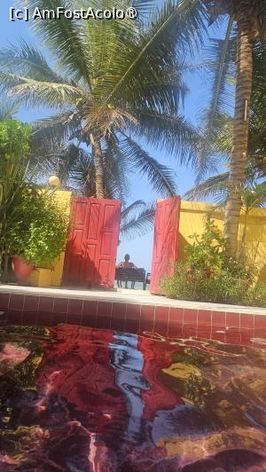 [P33] totul este despre culoare » foto by robert
 - 
<span class="allrVoted glyphicon glyphicon-heart hidden" id="av1510171"></span>
<a class="m-l-10 hidden" id="sv1510171" onclick="voting_Foto_DelVot(,1510171,29198)" role="button">șterge vot <span class="glyphicon glyphicon-remove"></span></a>
<a id="v91510171" class=" c-red"  onclick="voting_Foto_SetVot(1510171)" role="button"><span class="glyphicon glyphicon-heart-empty"></span> <b>LIKE</b> = Votează poza</a> <img class="hidden"  id="f1510171W9" src="/imagini/loader.gif" border="0" /><span class="AjErrMes hidden" id="e1510171ErM"></span>