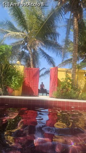 [P34] totul este despre culoare » foto by robert
 - 
<span class="allrVoted glyphicon glyphicon-heart hidden" id="av1510172"></span>
<a class="m-l-10 hidden" id="sv1510172" onclick="voting_Foto_DelVot(,1510172,29198)" role="button">șterge vot <span class="glyphicon glyphicon-remove"></span></a>
<a id="v91510172" class=" c-red"  onclick="voting_Foto_SetVot(1510172)" role="button"><span class="glyphicon glyphicon-heart-empty"></span> <b>LIKE</b> = Votează poza</a> <img class="hidden"  id="f1510172W9" src="/imagini/loader.gif" border="0" /><span class="AjErrMes hidden" id="e1510172ErM"></span>