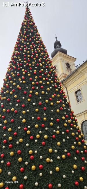 [P15] Brad din Targ Crăciun Sibiu » foto by kmy
 - 
<span class="allrVoted glyphicon glyphicon-heart hidden" id="av1400358"></span>
<a class="m-l-10 hidden" id="sv1400358" onclick="voting_Foto_DelVot(,1400358,29199)" role="button">șterge vot <span class="glyphicon glyphicon-remove"></span></a>
<a id="v91400358" class=" c-red"  onclick="voting_Foto_SetVot(1400358)" role="button"><span class="glyphicon glyphicon-heart-empty"></span> <b>LIKE</b> = Votează poza</a> <img class="hidden"  id="f1400358W9" src="/imagini/loader.gif" border="0" /><span class="AjErrMes hidden" id="e1400358ErM"></span>