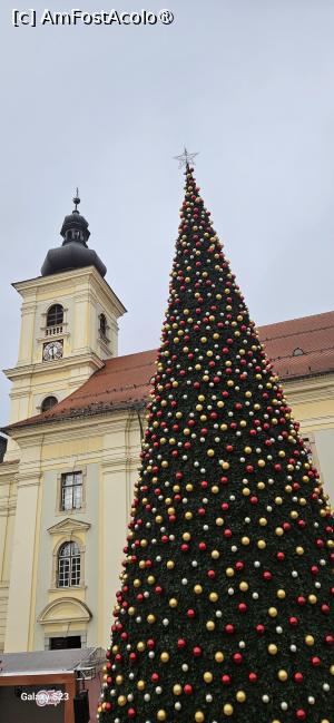 [P05] Bradul din Targ Crăciun Sibiu » foto by kmy
 - 
<span class="allrVoted glyphicon glyphicon-heart hidden" id="av1400348"></span>
<a class="m-l-10 hidden" id="sv1400348" onclick="voting_Foto_DelVot(,1400348,29199)" role="button">șterge vot <span class="glyphicon glyphicon-remove"></span></a>
<a id="v91400348" class=" c-red"  onclick="voting_Foto_SetVot(1400348)" role="button"><span class="glyphicon glyphicon-heart-empty"></span> <b>LIKE</b> = Votează poza</a> <img class="hidden"  id="f1400348W9" src="/imagini/loader.gif" border="0" /><span class="AjErrMes hidden" id="e1400348ErM"></span>