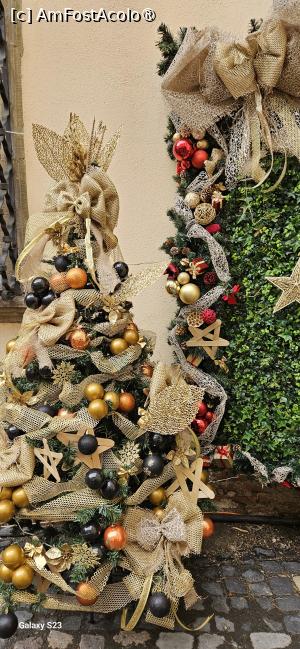 [P08]  -- <small>// FĂRĂ DESCRIERE</small> » foto by kmy
 - 
<span class="allrVoted glyphicon glyphicon-heart hidden" id="av1400351"></span>
<a class="m-l-10 hidden" id="sv1400351" onclick="voting_Foto_DelVot(,1400351,29199)" role="button">șterge vot <span class="glyphicon glyphicon-remove"></span></a>
<a id="v91400351" class=" c-red"  onclick="voting_Foto_SetVot(1400351)" role="button"><span class="glyphicon glyphicon-heart-empty"></span> <b>LIKE</b> = Votează poza</a> <img class="hidden"  id="f1400351W9" src="/imagini/loader.gif" border="0" /><span class="AjErrMes hidden" id="e1400351ErM"></span>