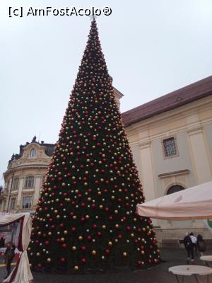 [P19] Bradul ziua » foto by nelu73
 - 
<span class="allrVoted glyphicon glyphicon-heart hidden" id="av1341250"></span>
<a class="m-l-10 hidden" id="sv1341250" onclick="voting_Foto_DelVot(,1341250,29199)" role="button">șterge vot <span class="glyphicon glyphicon-remove"></span></a>
<a id="v91341250" class=" c-red"  onclick="voting_Foto_SetVot(1341250)" role="button"><span class="glyphicon glyphicon-heart-empty"></span> <b>LIKE</b> = Votează poza</a> <img class="hidden"  id="f1341250W9" src="/imagini/loader.gif" border="0" /><span class="AjErrMes hidden" id="e1341250ErM"></span>