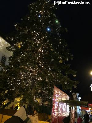 [P17] bradul mare » foto by Dan&Ema
 - 
<span class="allrVoted glyphicon glyphicon-heart hidden" id="av696645"></span>
<a class="m-l-10 hidden" id="sv696645" onclick="voting_Foto_DelVot(,696645,29199)" role="button">șterge vot <span class="glyphicon glyphicon-remove"></span></a>
<a id="v9696645" class=" c-red"  onclick="voting_Foto_SetVot(696645)" role="button"><span class="glyphicon glyphicon-heart-empty"></span> <b>LIKE</b> = Votează poza</a> <img class="hidden"  id="f696645W9" src="/imagini/loader.gif" border="0" /><span class="AjErrMes hidden" id="e696645ErM"></span>