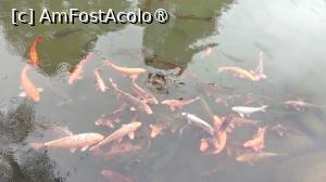 [P66]  -- <small>// FĂRĂ DESCRIERE</small> » foto by elenaadina
 - 
<span class="allrVoted glyphicon glyphicon-heart hidden" id="av1507112"></span>
<a class="m-l-10 hidden" id="sv1507112" onclick="voting_Foto_DelVot(,1507112,29201)" role="button">șterge vot <span class="glyphicon glyphicon-remove"></span></a>
<a id="v91507112" class=" c-red"  onclick="voting_Foto_SetVot(1507112)" role="button"><span class="glyphicon glyphicon-heart-empty"></span> <b>LIKE</b> = Votează poza</a> <img class="hidden"  id="f1507112W9" src="/imagini/loader.gif" border="0" /><span class="AjErrMes hidden" id="e1507112ErM"></span>