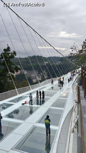 [P35]  -- <small>// FĂRĂ DESCRIERE</small> » foto by elenaadina
 - 
<span class="allrVoted glyphicon glyphicon-heart hidden" id="av1510317"></span>
<a class="m-l-10 hidden" id="sv1510317" onclick="voting_Foto_DelVot(,1510317,29201)" role="button">șterge vot <span class="glyphicon glyphicon-remove"></span></a>
<a id="v91510317" class=" c-red"  onclick="voting_Foto_SetVot(1510317)" role="button"><span class="glyphicon glyphicon-heart-empty"></span> <b>LIKE</b> = Votează poza</a> <img class="hidden"  id="f1510317W9" src="/imagini/loader.gif" border="0" /><span class="AjErrMes hidden" id="e1510317ErM"></span>