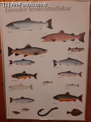 [P27] Hótel Eyjafjallajökull » foto by adso
 - 
<span class="allrVoted glyphicon glyphicon-heart hidden" id="av1510523"></span>
<a class="m-l-10 hidden" id="sv1510523" onclick="voting_Foto_DelVot(,1510523,29202)" role="button">șterge vot <span class="glyphicon glyphicon-remove"></span></a>
<a id="v91510523" class=" c-red"  onclick="voting_Foto_SetVot(1510523)" role="button"><span class="glyphicon glyphicon-heart-empty"></span> <b>LIKE</b> = Votează poza</a> <img class="hidden"  id="f1510523W9" src="/imagini/loader.gif" border="0" /><span class="AjErrMes hidden" id="e1510523ErM"></span>