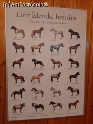 [P28] Hótel Eyjafjallajökull » foto by adso
 - 
<span class="allrVoted glyphicon glyphicon-heart hidden" id="av1510524"></span>
<a class="m-l-10 hidden" id="sv1510524" onclick="voting_Foto_DelVot(,1510524,29202)" role="button">șterge vot <span class="glyphicon glyphicon-remove"></span></a>
<a id="v91510524" class=" c-red"  onclick="voting_Foto_SetVot(1510524)" role="button"><span class="glyphicon glyphicon-heart-empty"></span> <b>LIKE</b> = Votează poza</a> <img class="hidden"  id="f1510524W9" src="/imagini/loader.gif" border="0" /><span class="AjErrMes hidden" id="e1510524ErM"></span>